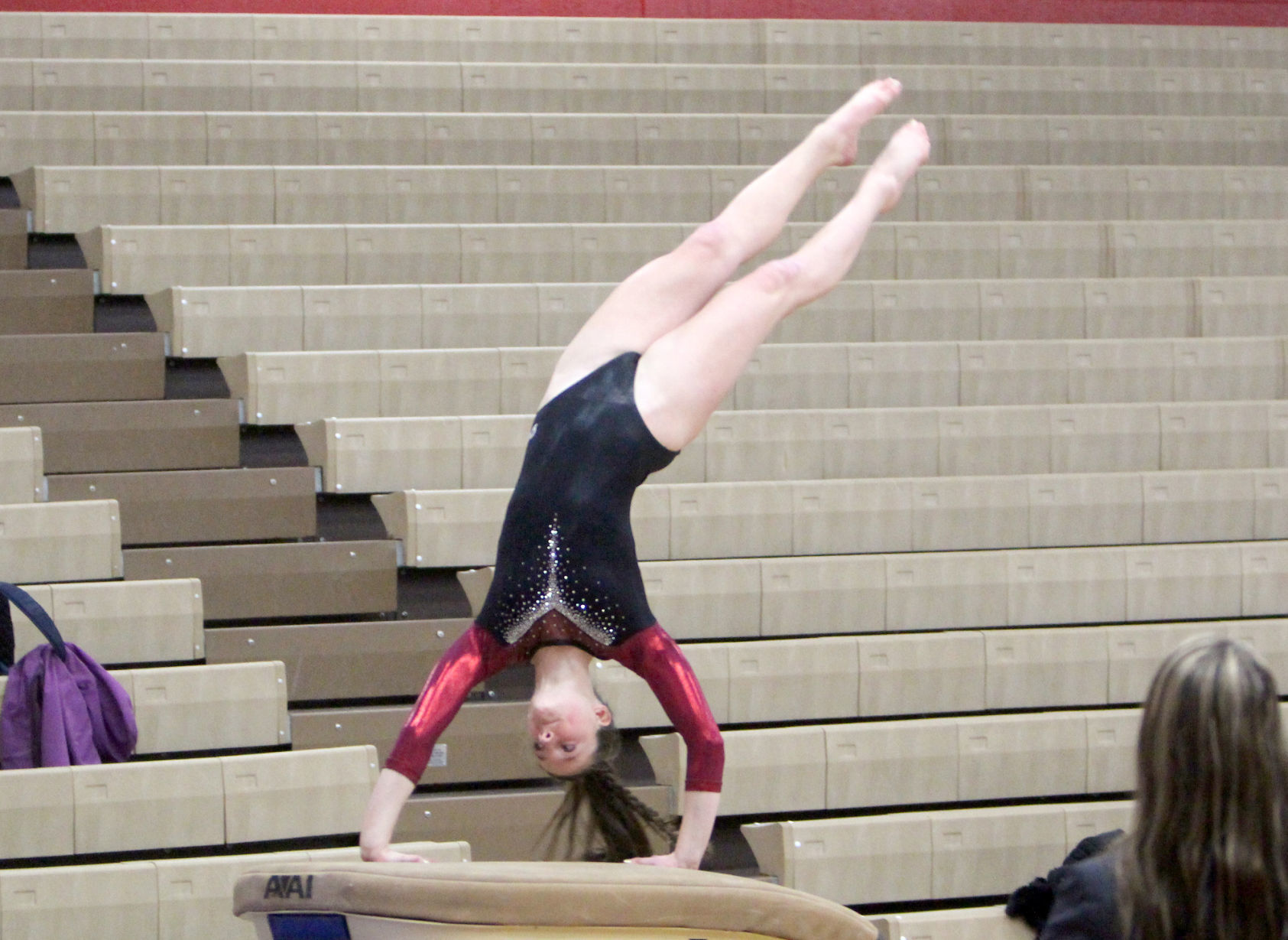 Chi-Hi Gymnastics Triangular 1-17-19